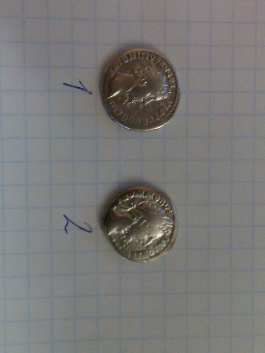 111.jpg