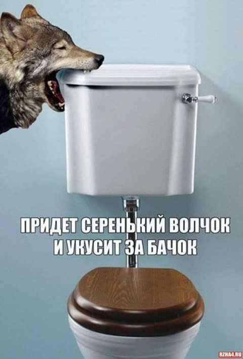 111.jpg