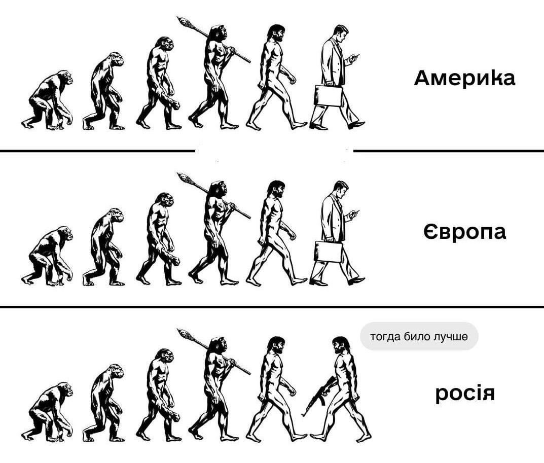 11186953_original.jpg