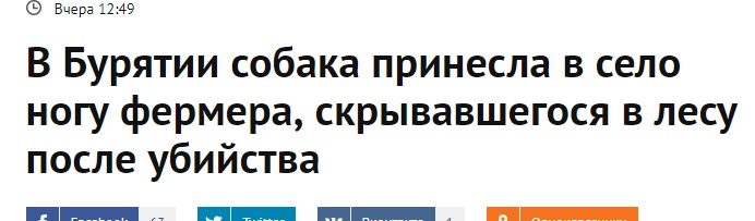 113.jpg