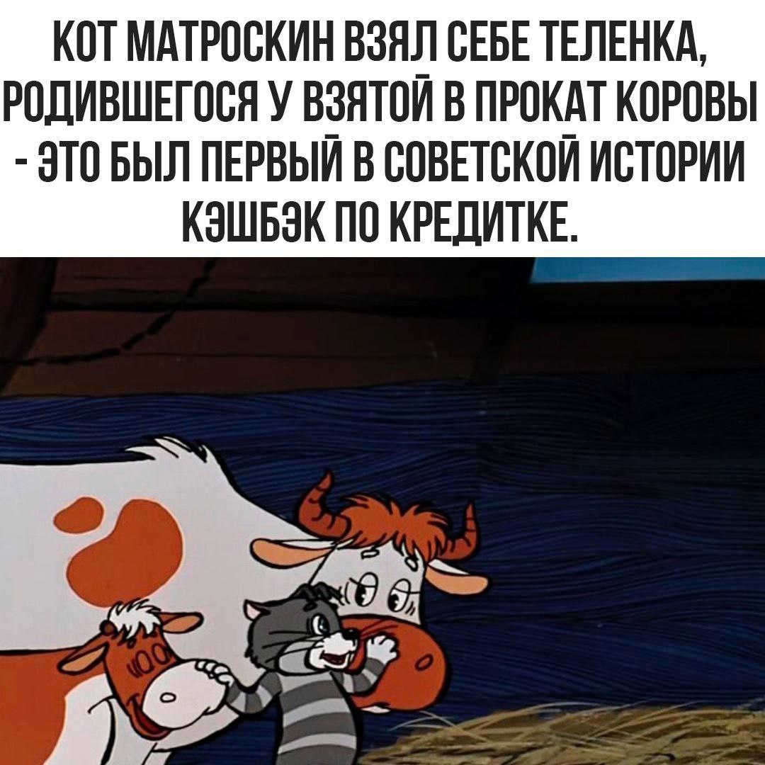 116e7b39-cf26-47e7-a19f-dc3f70cd7f5c.jpg