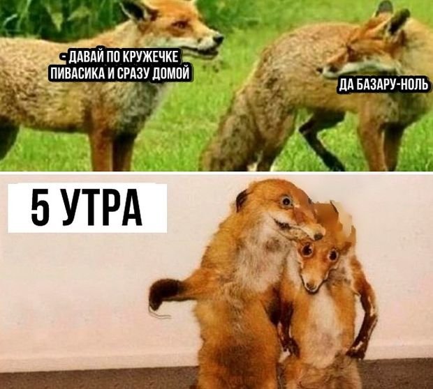 11855976.jpg