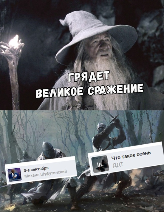11944348.jpg