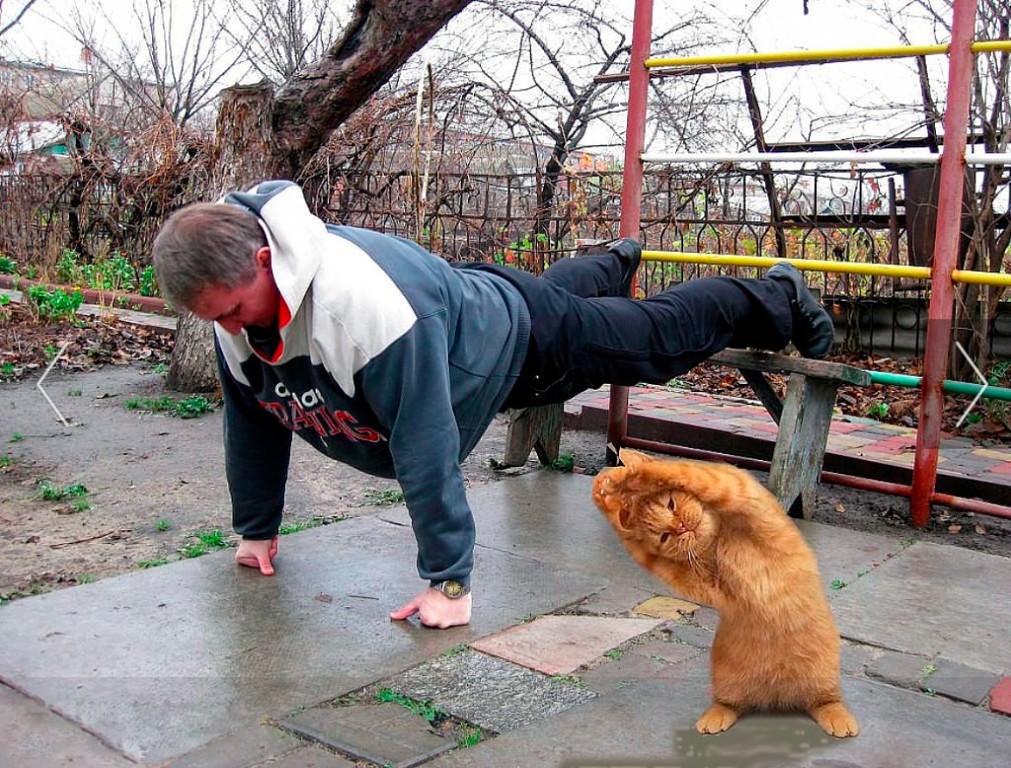 12. Спорт. семья.jpg