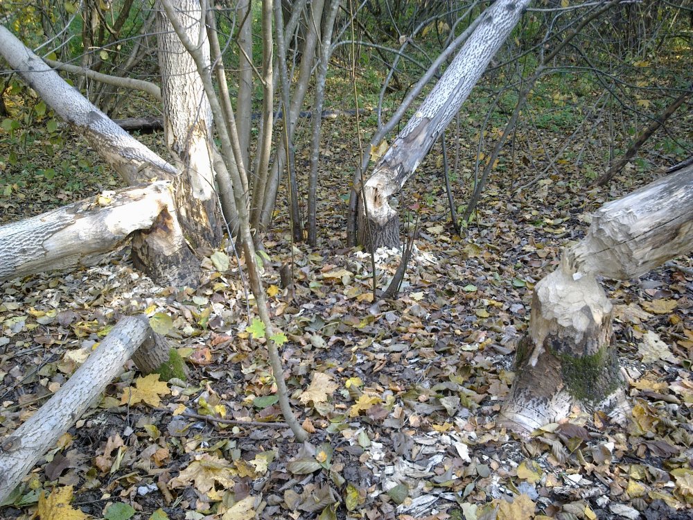 121020148676.jpg