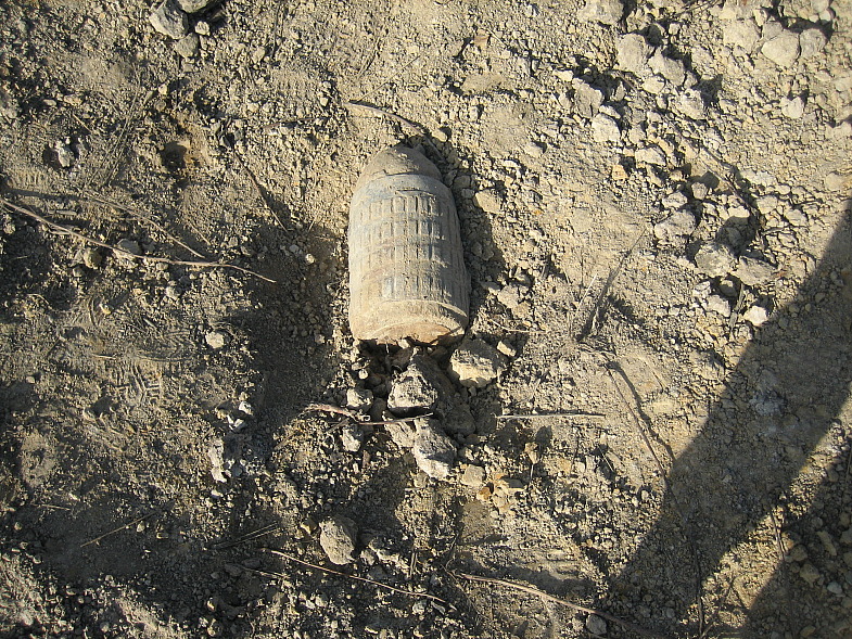 124135365.jpg