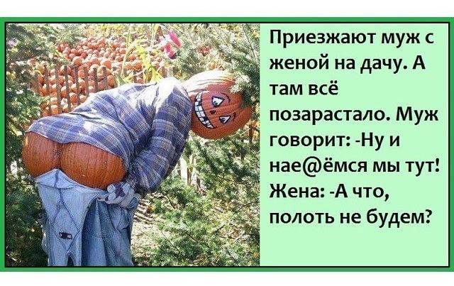1254827de7dea73520a865df937527e8.jpg