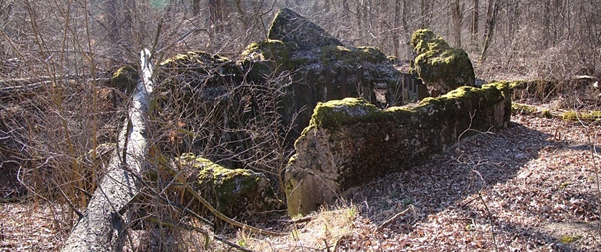 126 - тылы.jpg