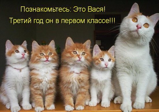1267024098_493100.jpg