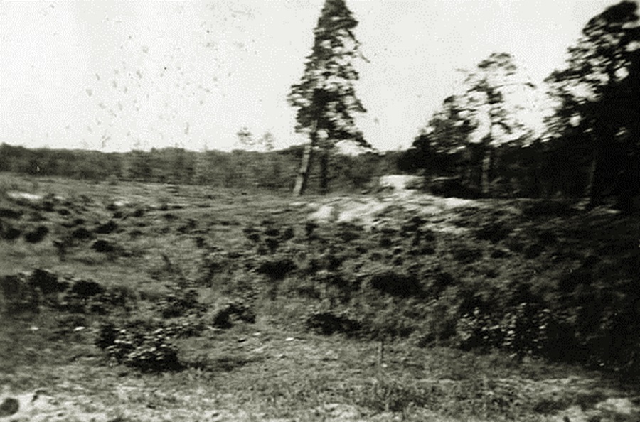 127-3.jpg