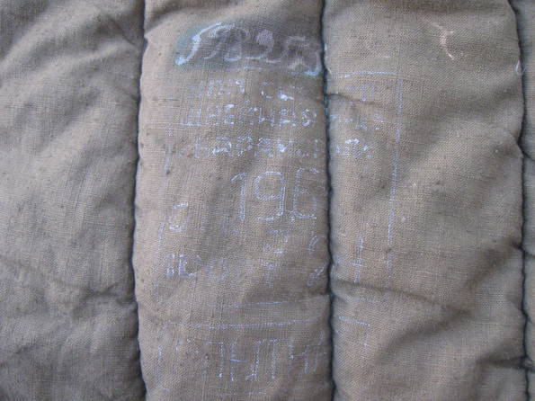 12724404.jpg