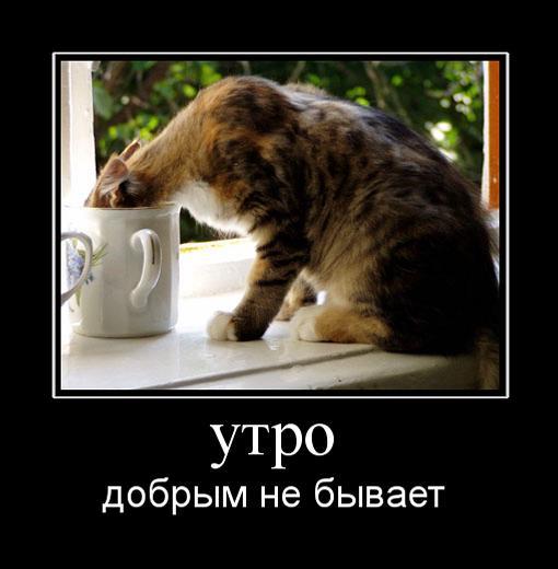 1286764138_utro.jpg
