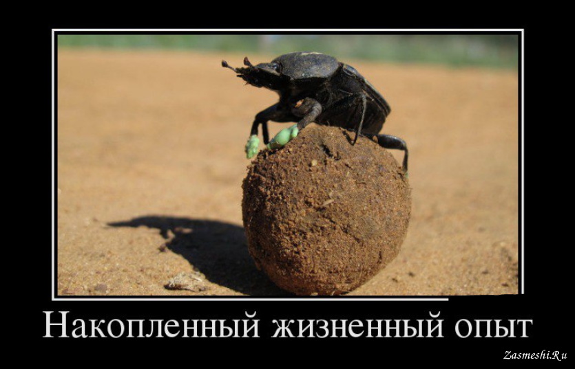 13149-Pochechnyj-kamen-sohranyaet.png