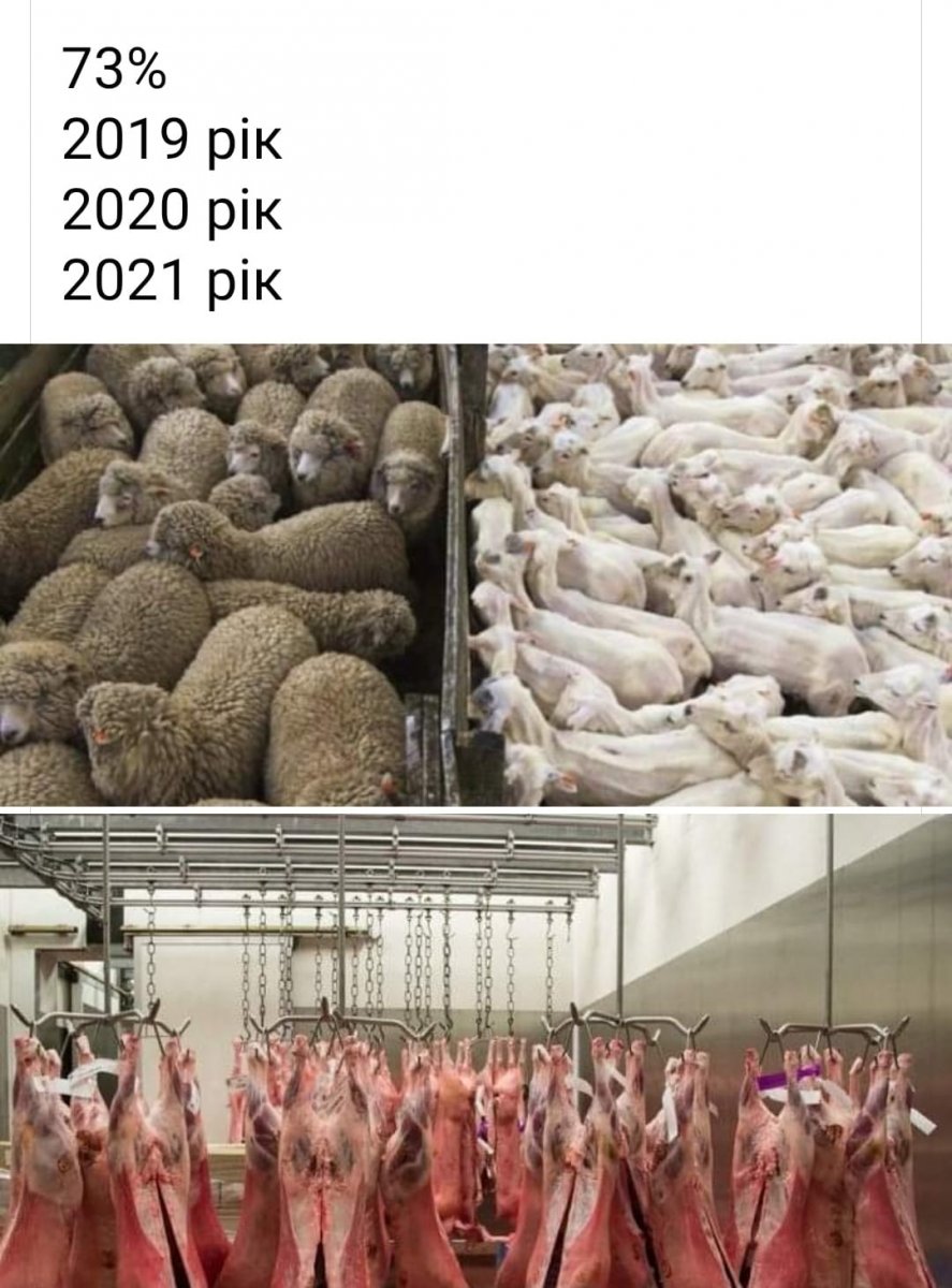 132971373_1349025488767123_5578109838008618320_o.jpg
