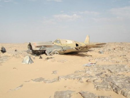 1336630156_plane_02.jpg