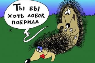 13413c55262988321fc1c23bdc7b7cbc.jpg