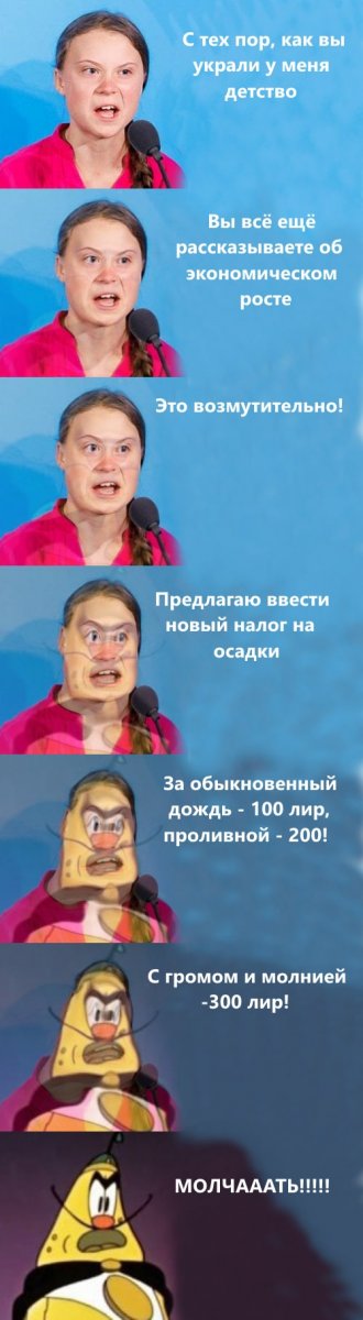 13491325.jpg
