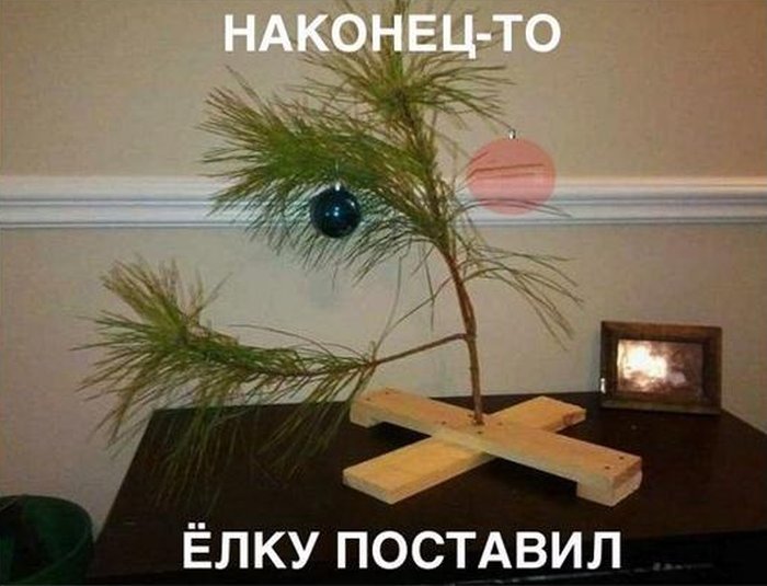 1356666013_03.jpg