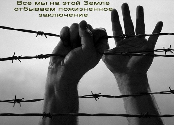 1370860877_frazi_krasivie_so_smislom-4.jpg