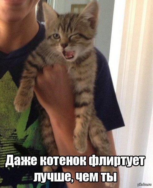 1378123075_1878913162.jpg