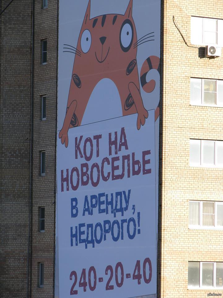 1383775013_1567174809.jpg