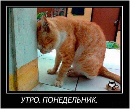 1385381070_1aa.jpg