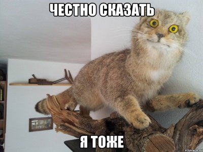 13982644204170.jpeg
