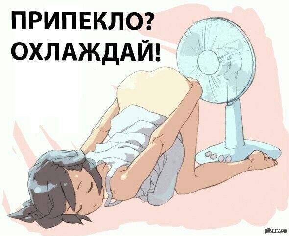 14059493164476.jpg