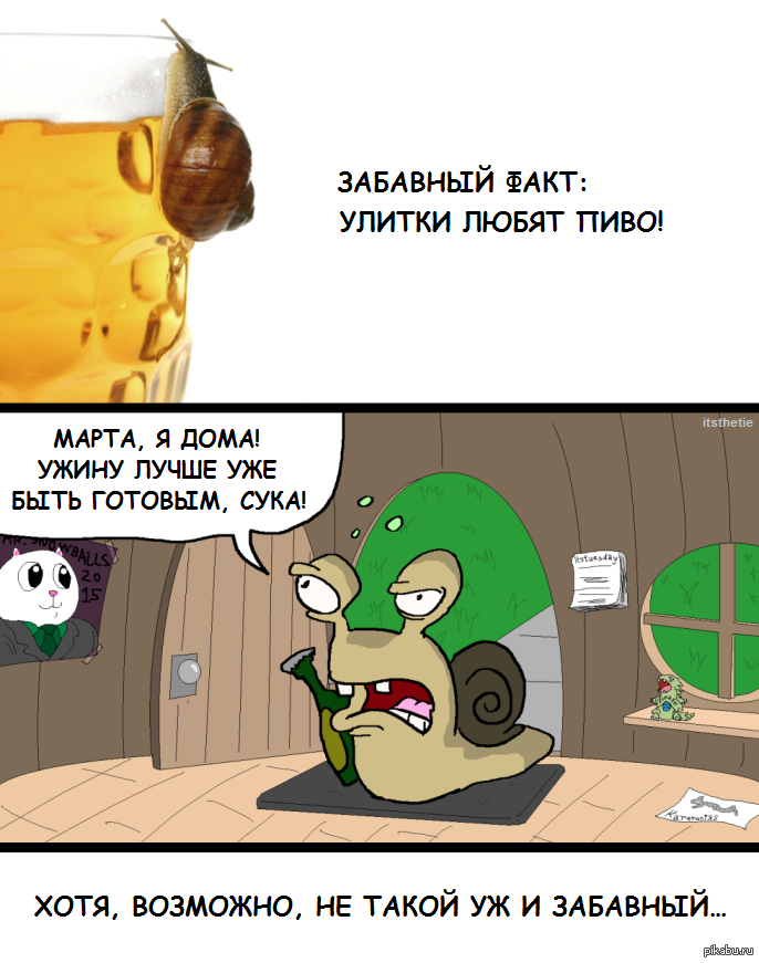 1418316489_2023159718.png