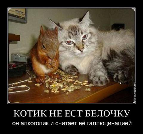 1425759030_6ip9nm9kuxq.jpg
