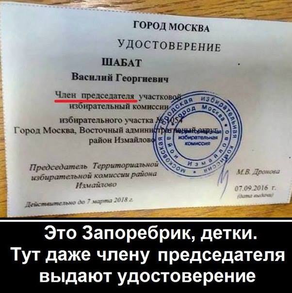 14344055_1_n.jpg