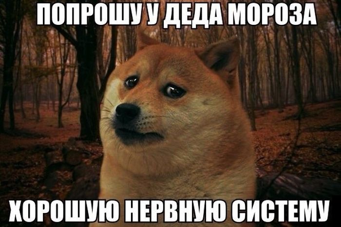 1448575632_09.jpg