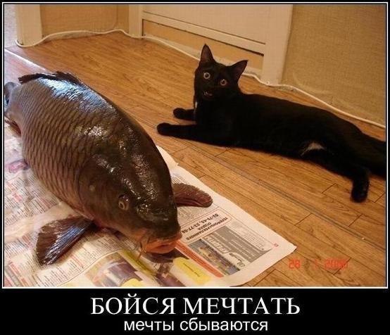 1458591701.jpeg