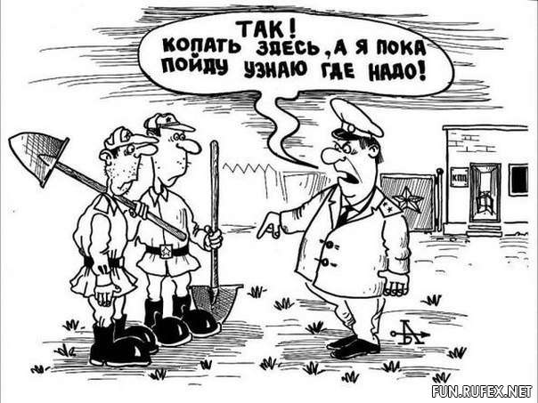 1461506101_384.jpg