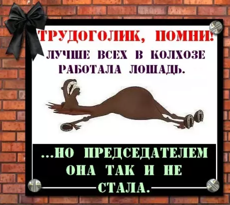 1467028507197425281.png