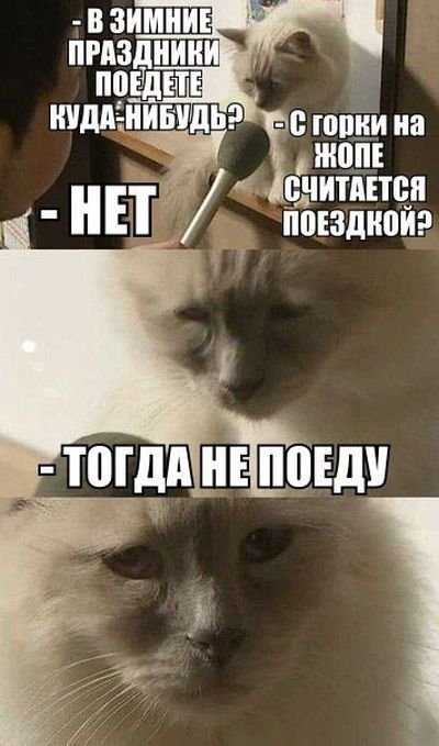1482428122_prikoly-pro-novyy-god-2.jpg