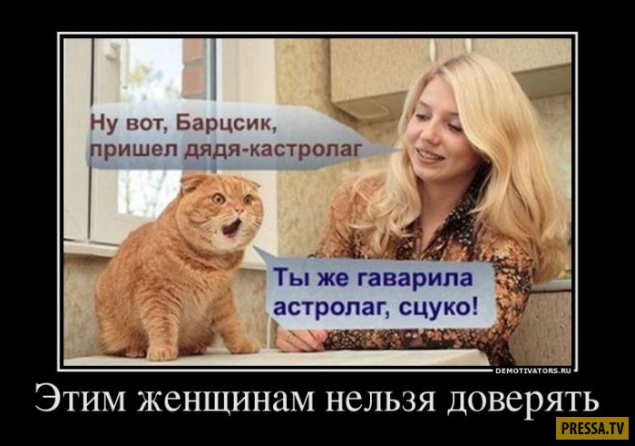 1483487205_32.jpg