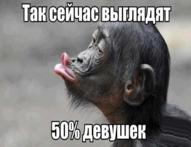 1490934047-640x493.jpg
