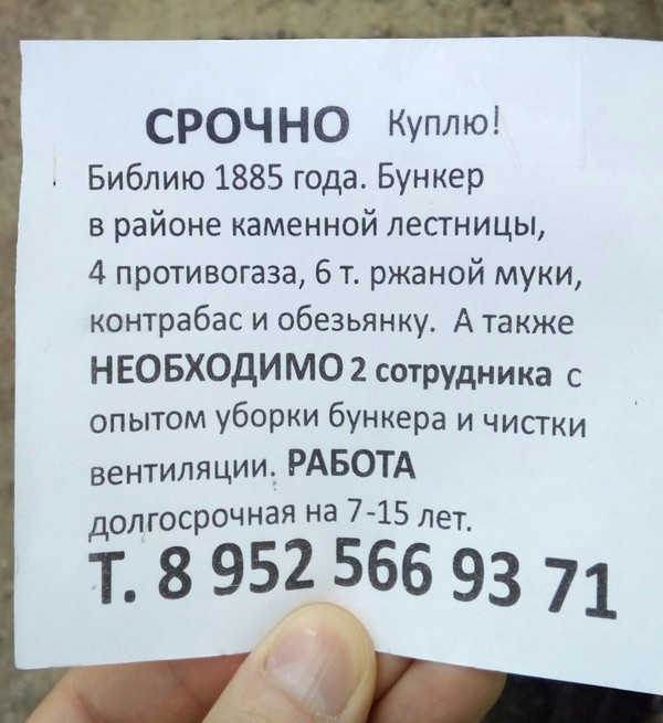 1493807794187149063.jpg