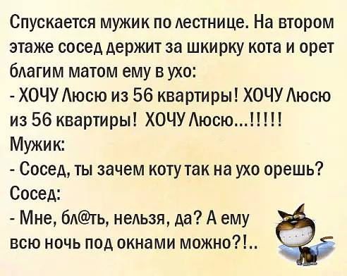 15. Хочу Люсю.jpg