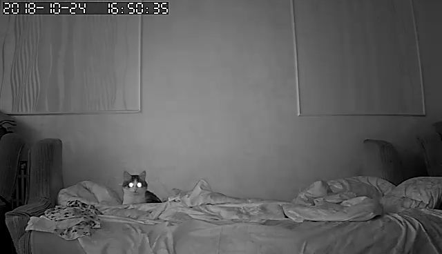 15018727_2018-10-24 11_50_11.jpg