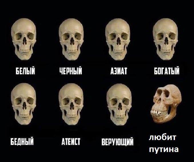 15032791_1339982529367944_8271629762645363214_n.jpg