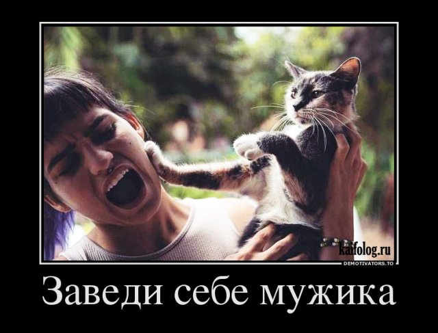 1507699569_001.jpg