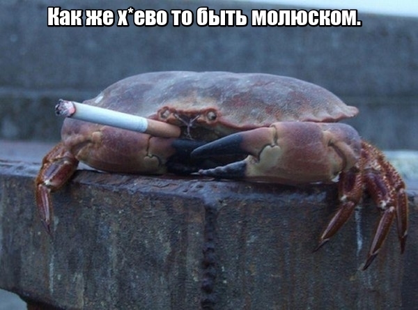 152183041219085396.jpg