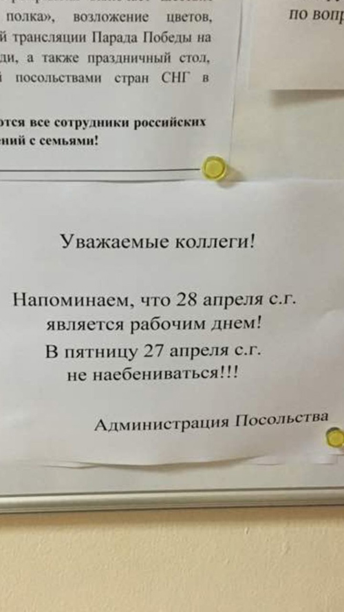 1524819033-2fd33e3c461fa6f30b5292d66be930f9.jpeg