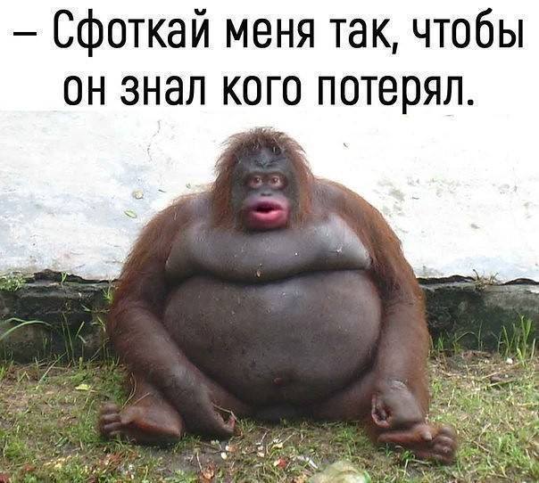 1527364359_kartinki-1.jpg