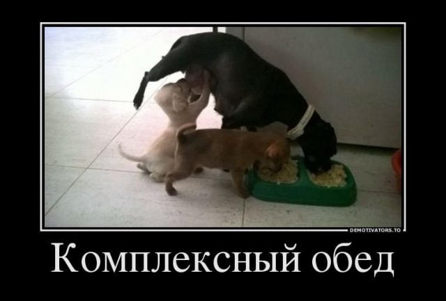 1541060709_2.jpg