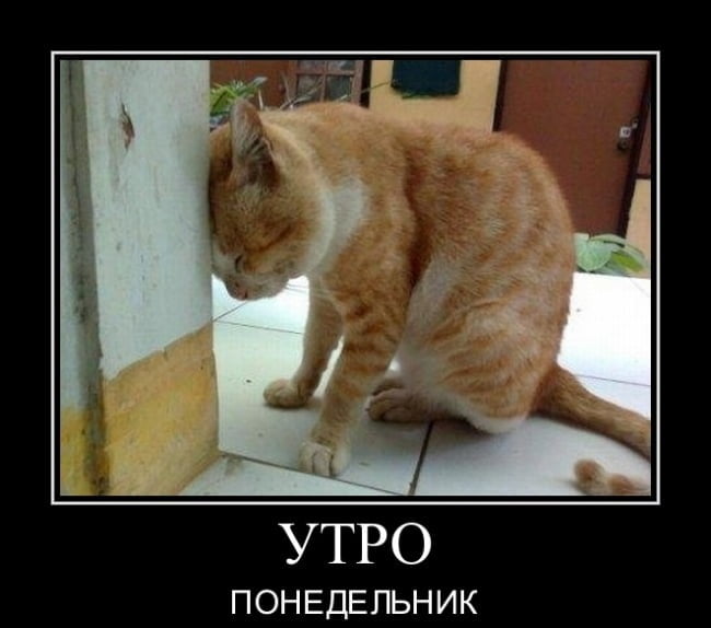 1544687141_1.jpg