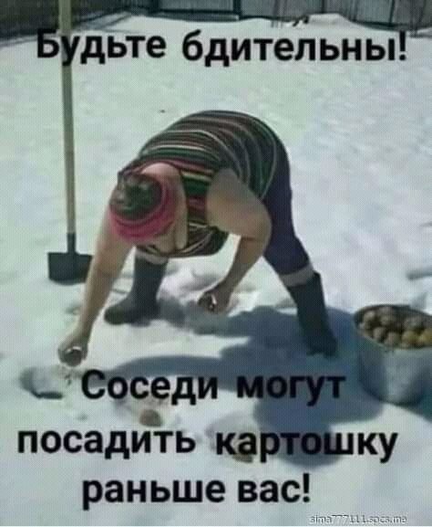 155298645316288481.jpg