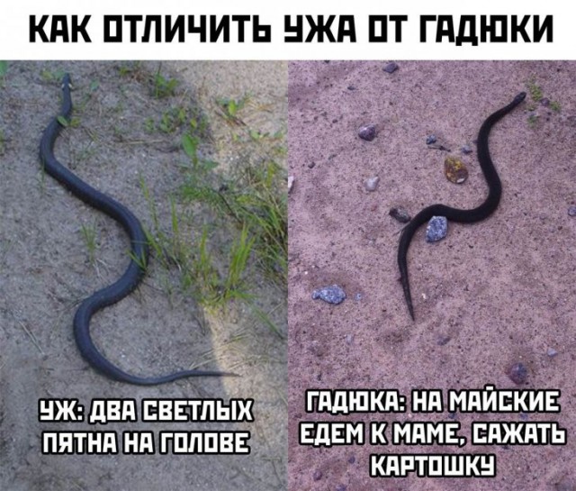 1556914149_kartinki-s-nadpisyami_xaxa-net.ru-2.jpg